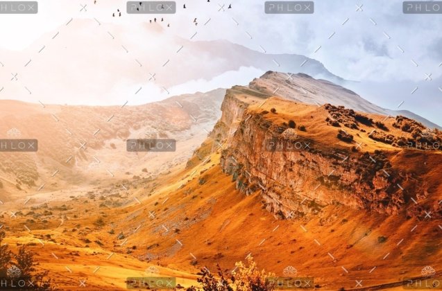 demo-attachment-47-rauf-mekhraliev-1099154-unsplash