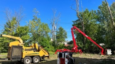 Tree Service Syracuse NY